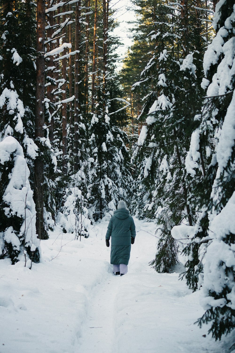 a person walking through a snow covered forest