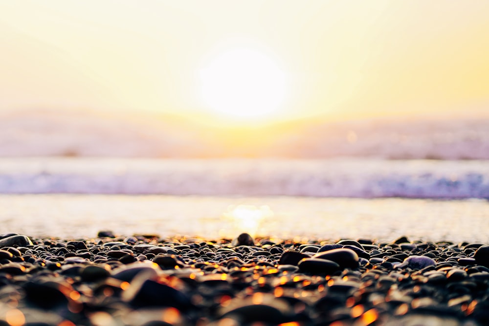 a close up of rocks on a beach near the ocean