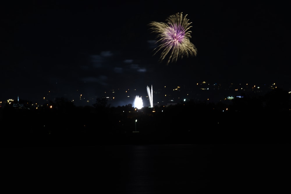 Feuerwerk wird am Nachthimmel angezündet