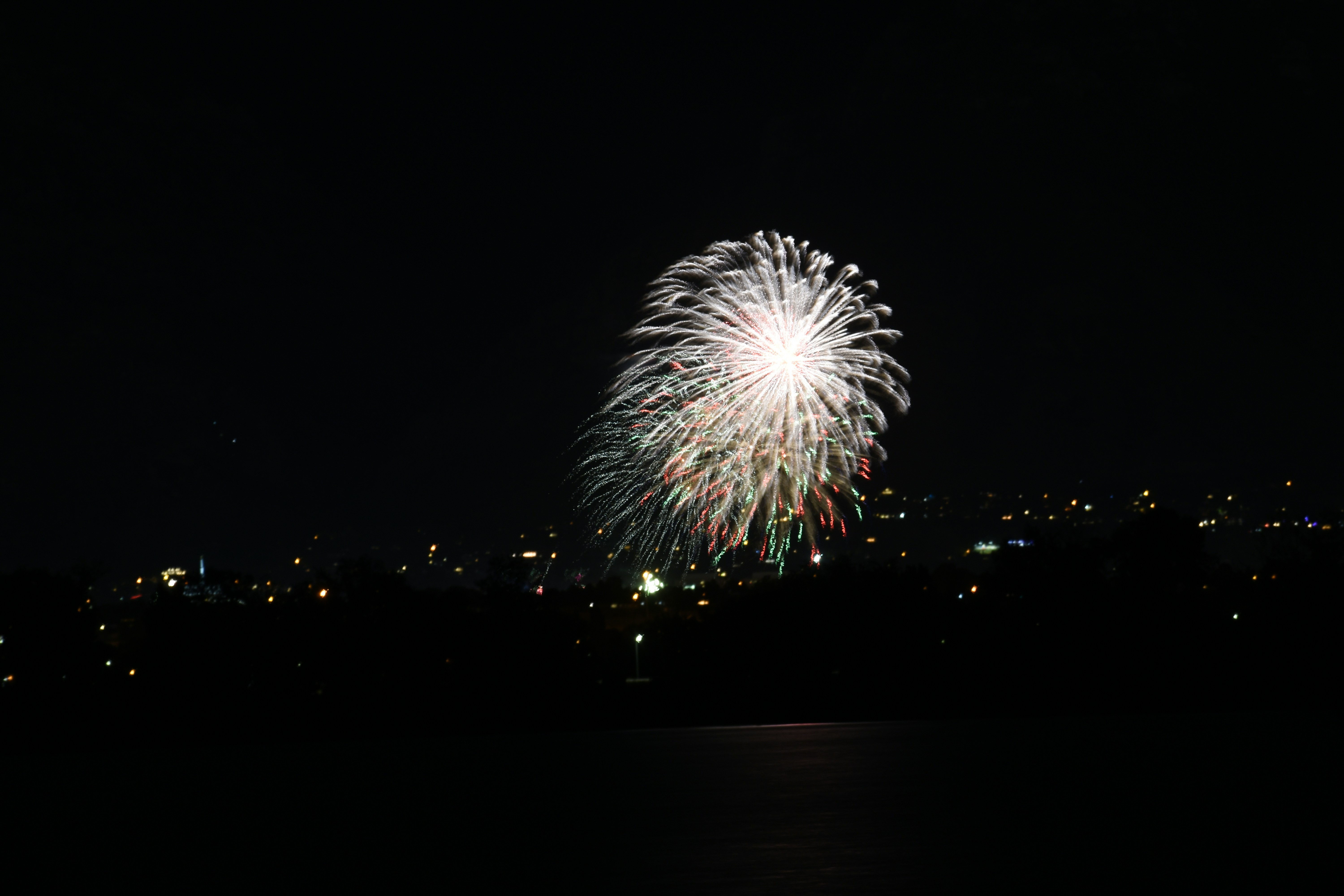 a large fireworks is lit up in the night sky
