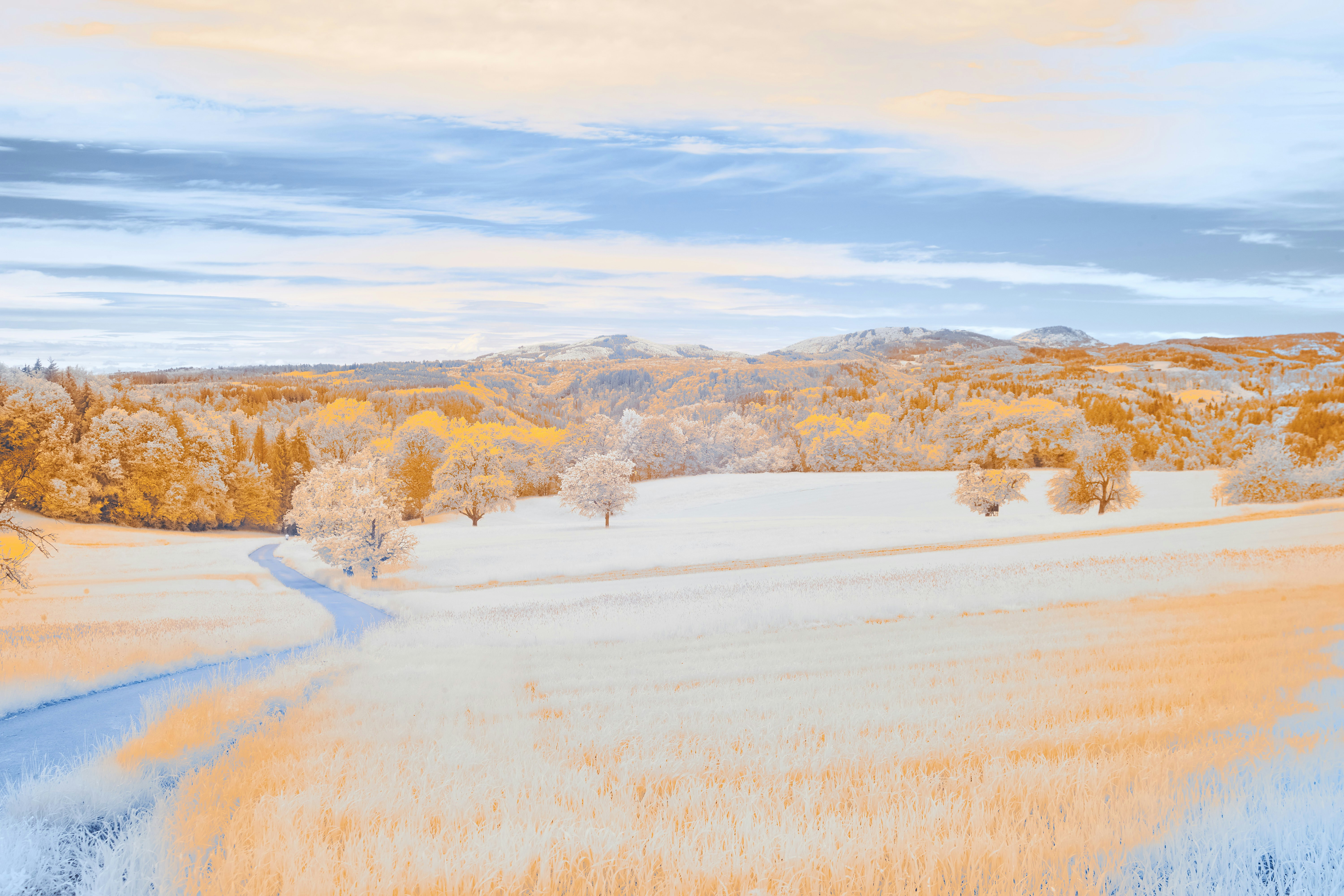 Photo by wolfgang_hasselmann