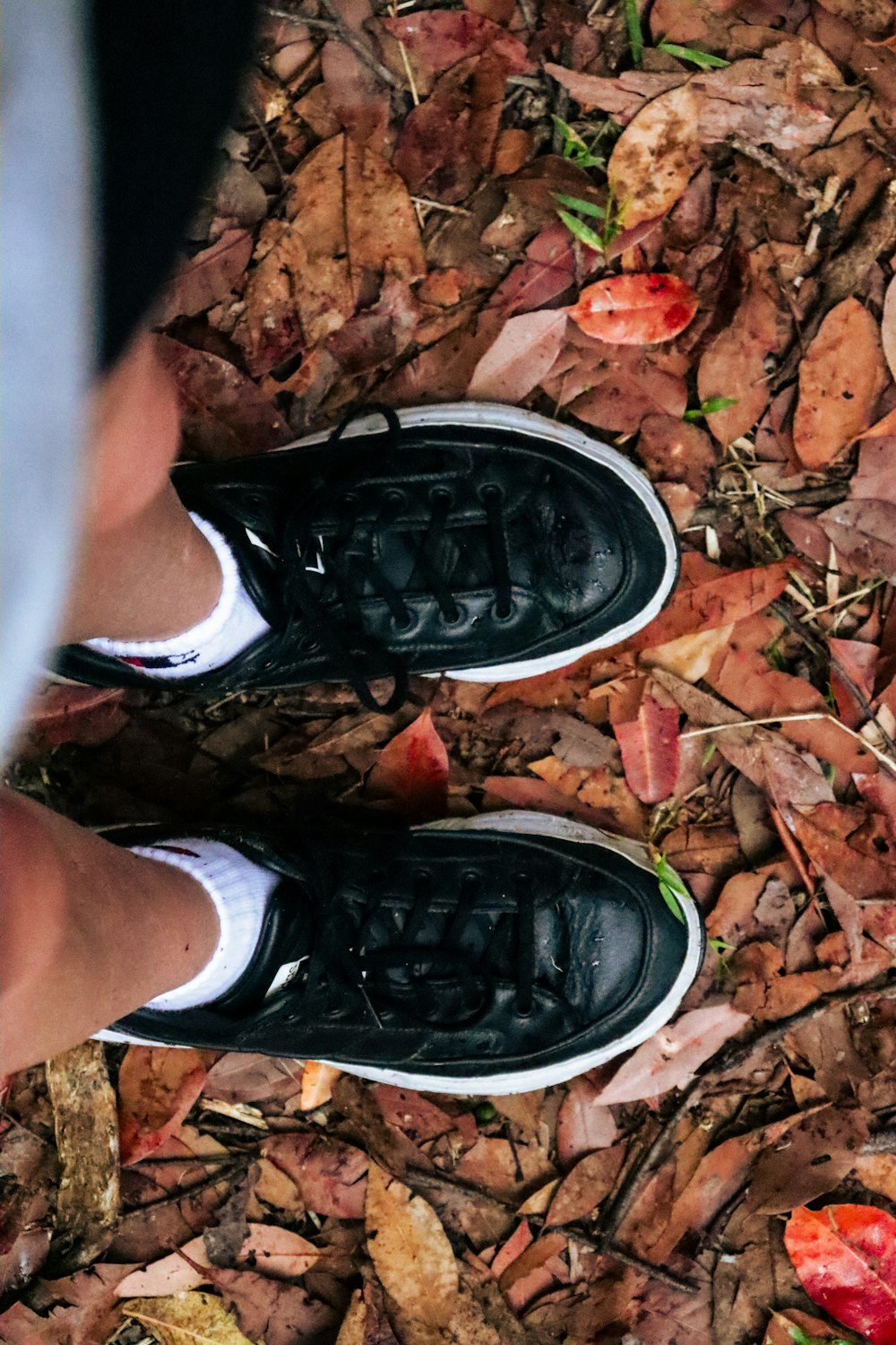 a person standing on top of a leaf covered ground