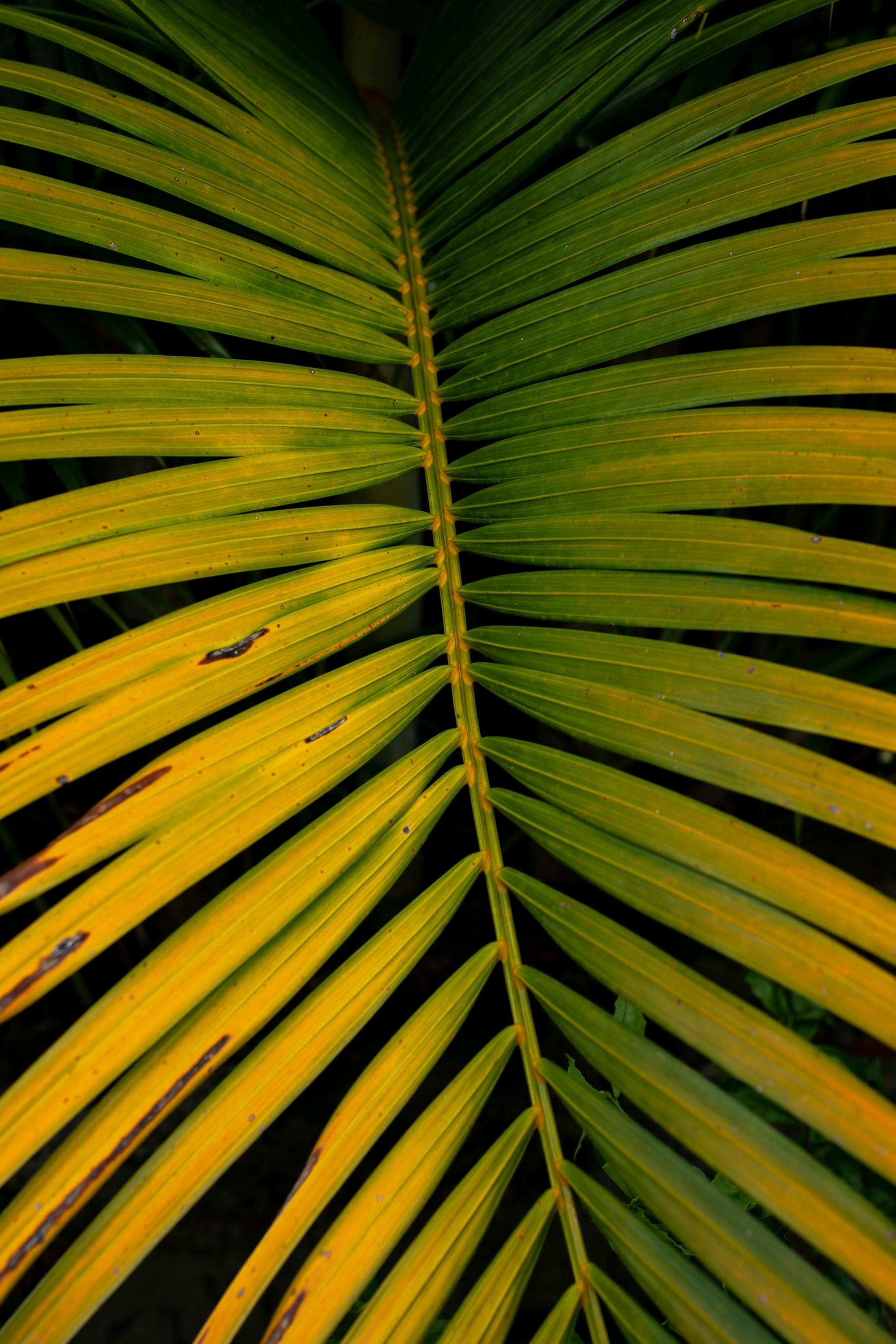 Photo by filipe_cantador