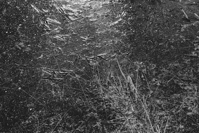 Close-up black and white shot of textured iceberg surfaces showing intricate natural patterns.