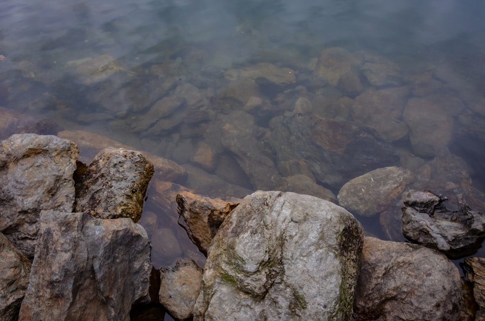 a body of water surrounded by rocks and grass