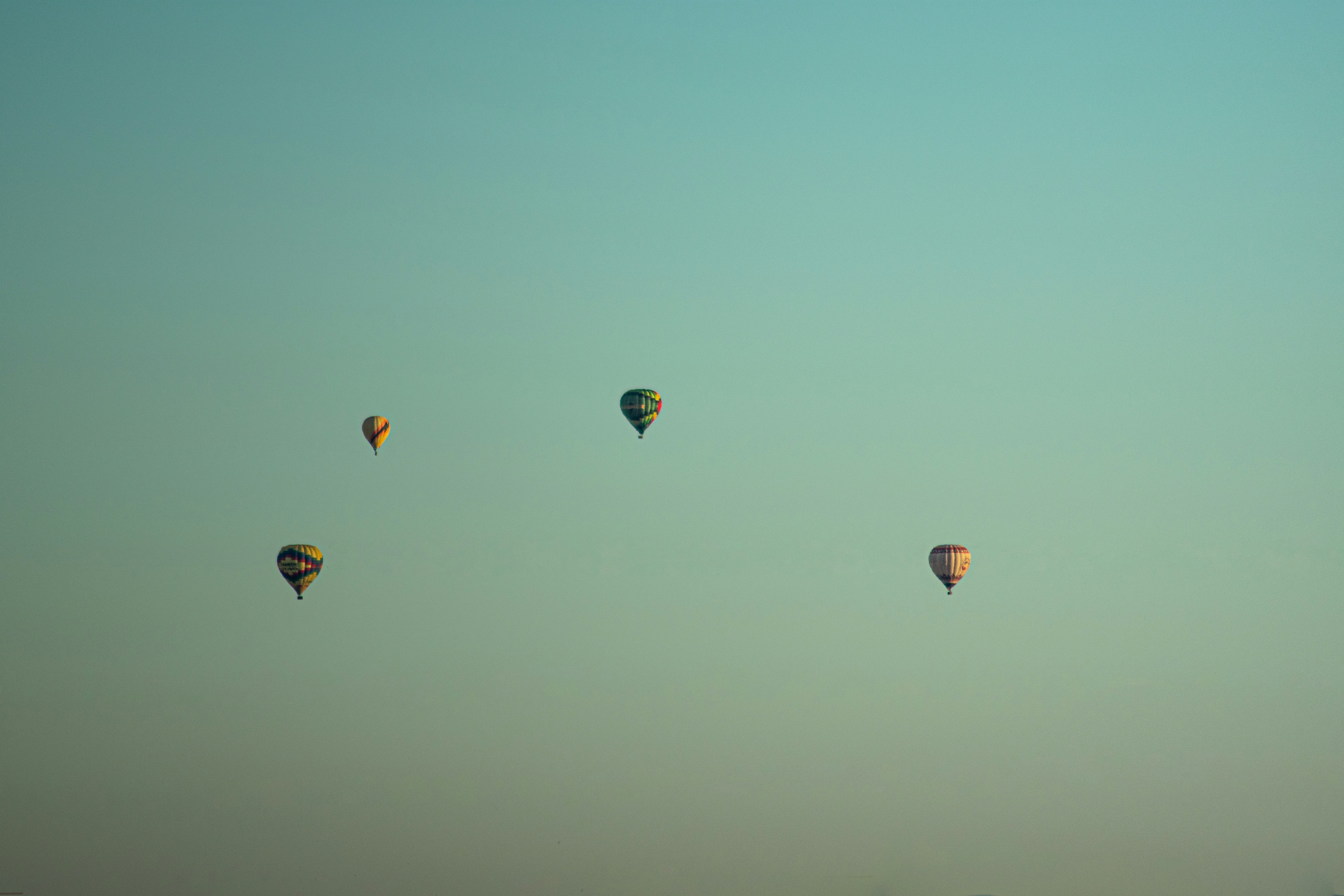 Hot air balloons in sky