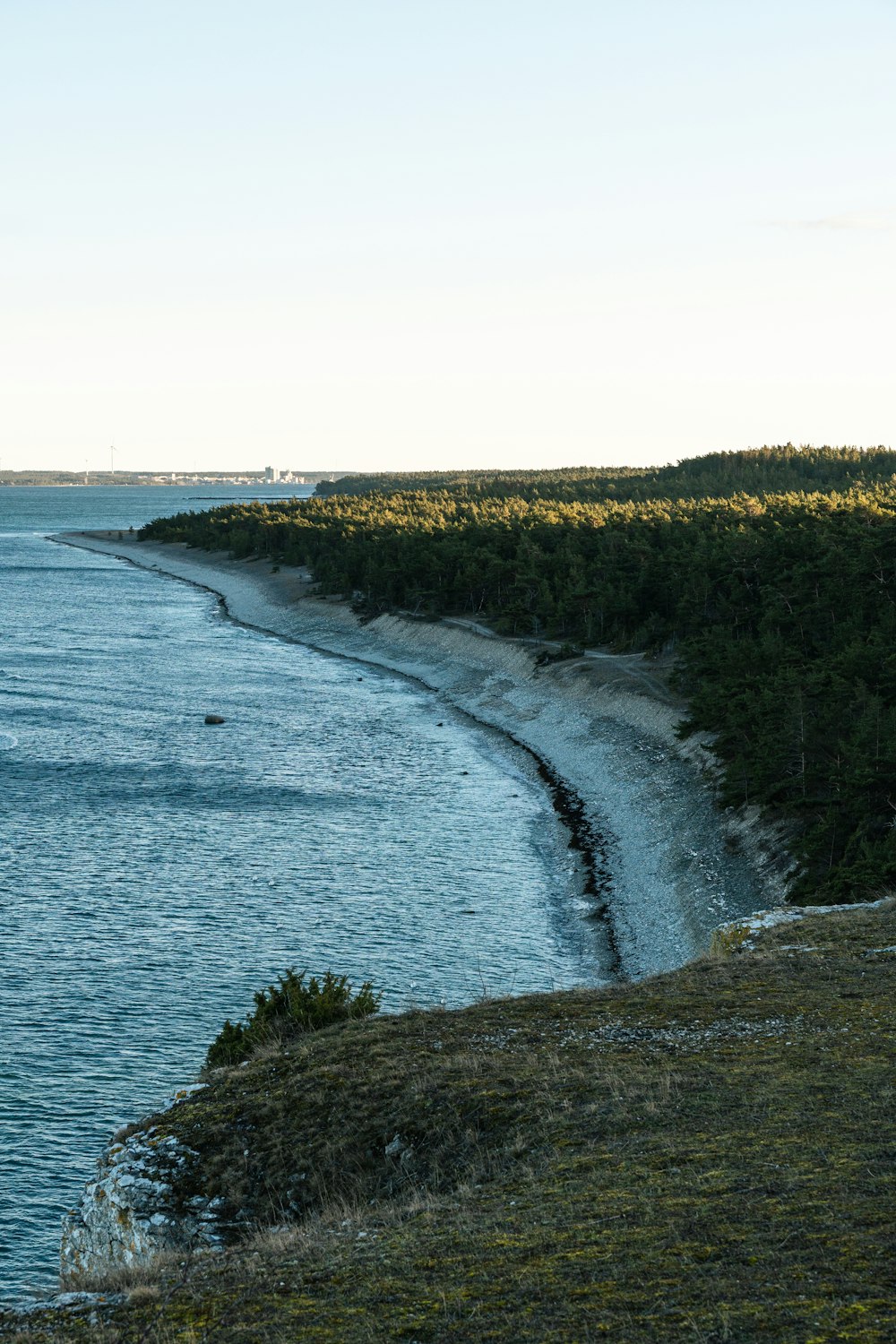 a body of water surrounded by trees and grass