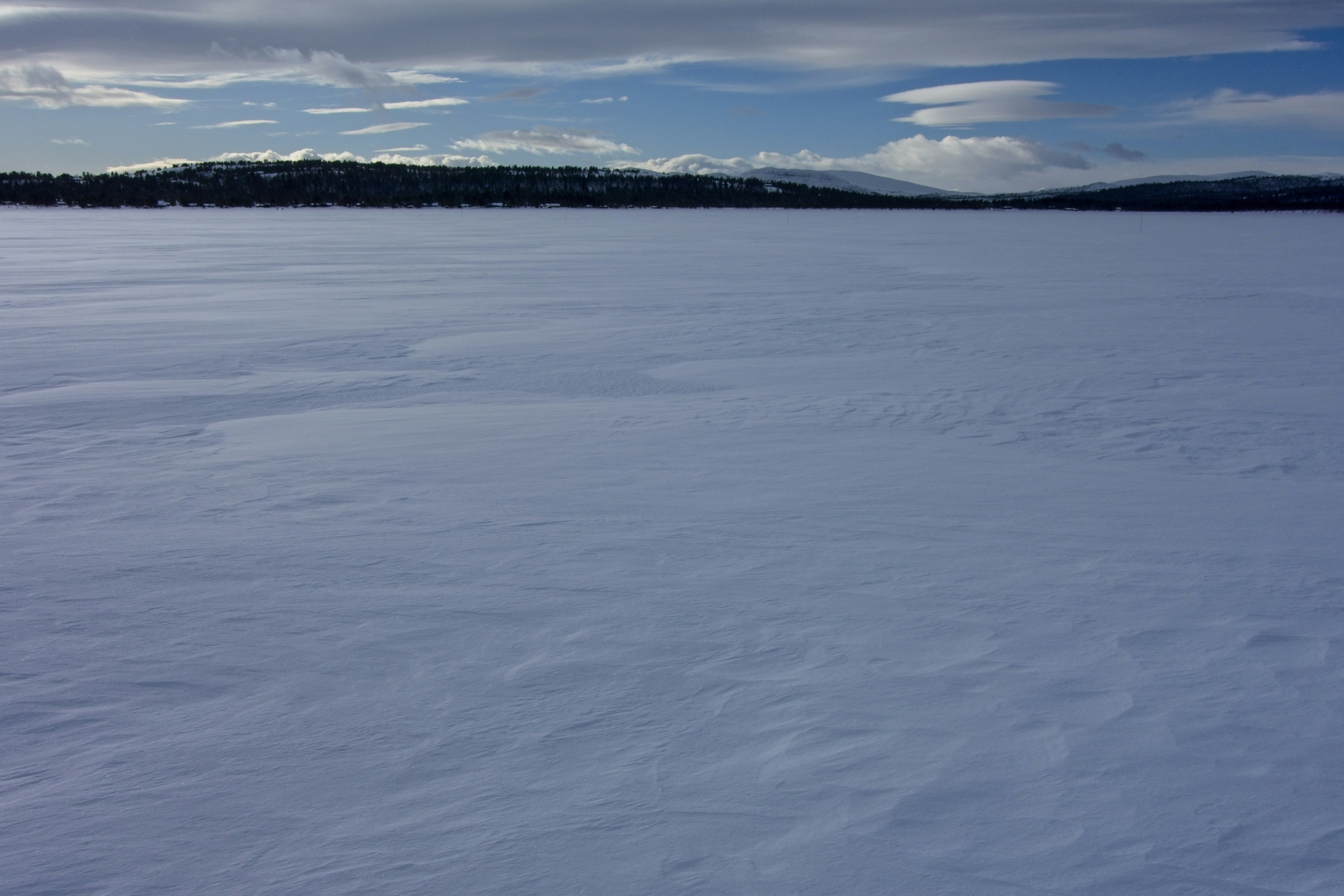 Photo by gunnarridder