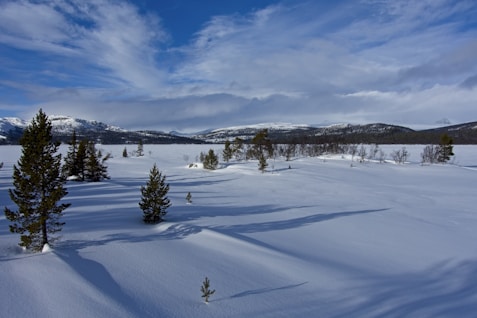 a snow covered field with trees and mountains in the background