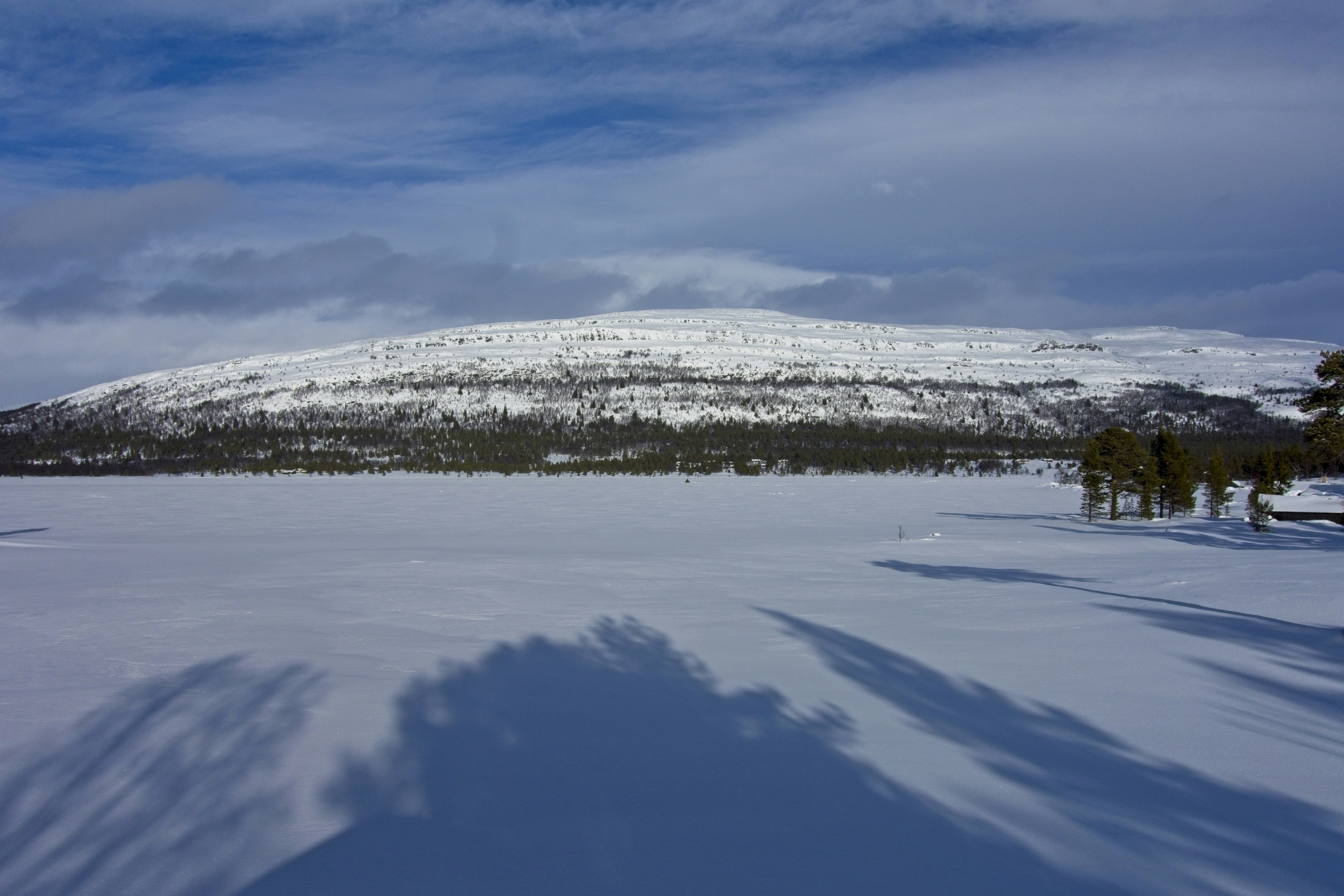 Photo by gunnarridder