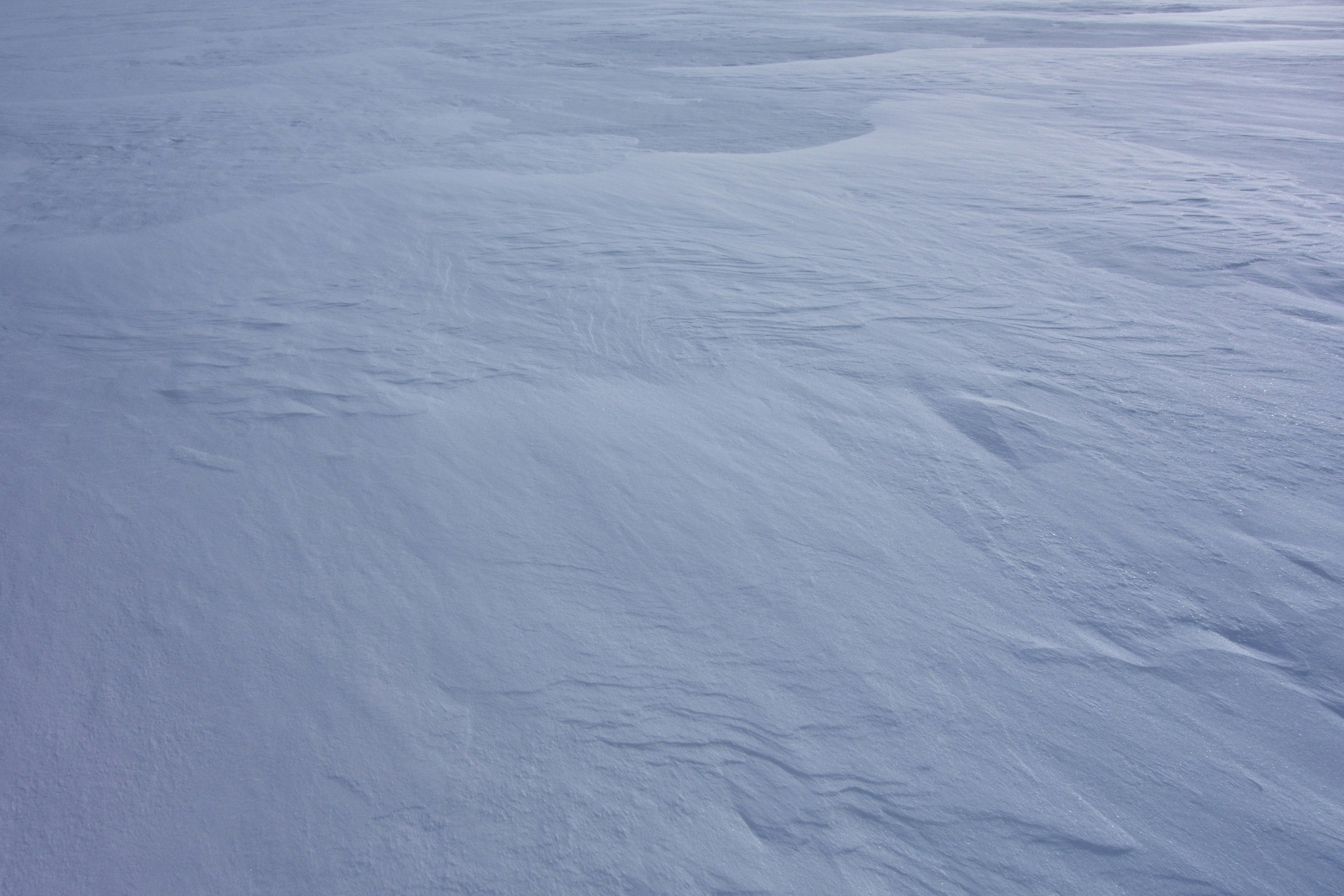 Photo by gunnarridder