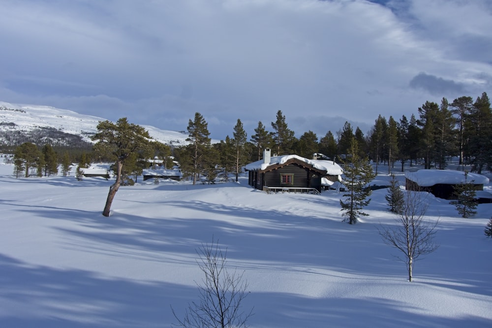 a cabin in the middle of a snowy field