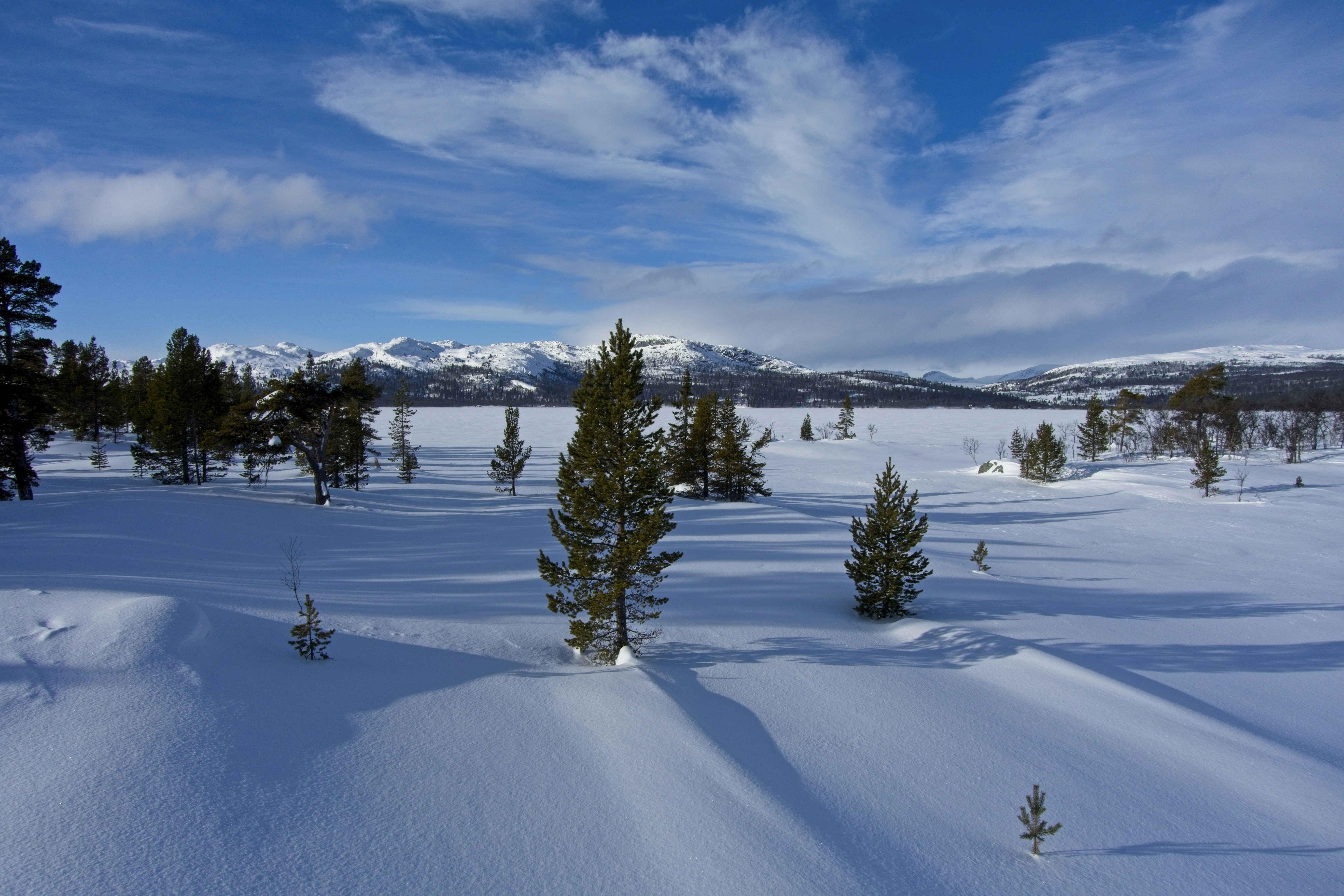 Photo by gunnarridder