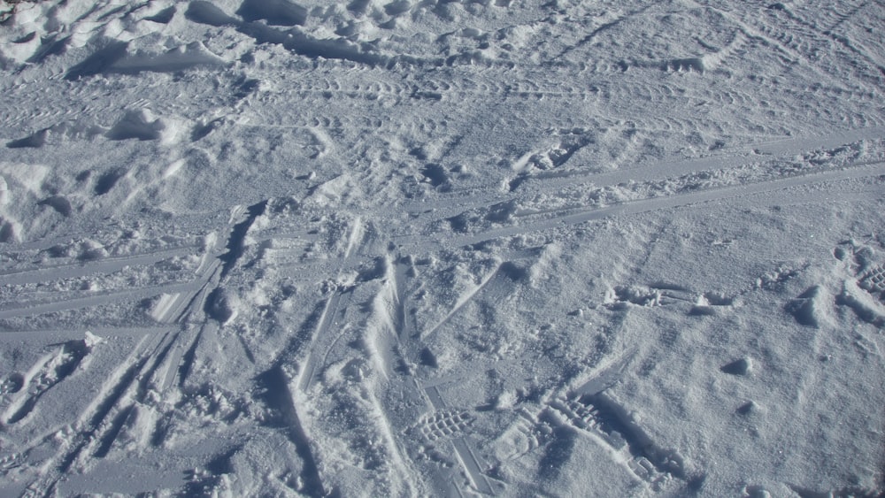 a snow covered ground with tracks in the snow