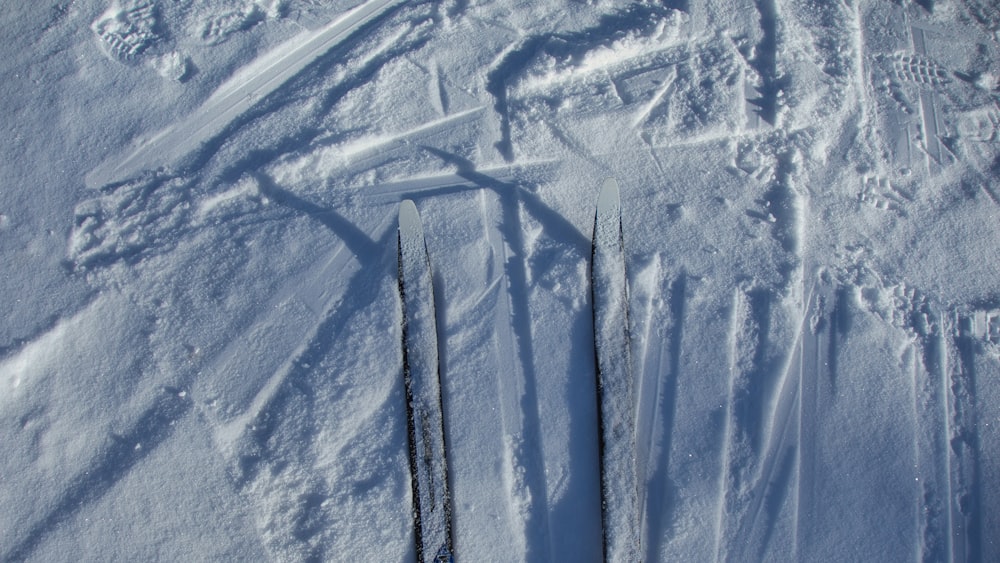 a pair of skis sticking out of the snow
