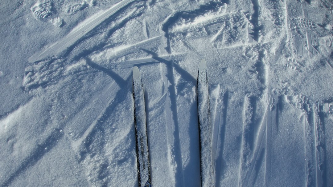 all-mountain skis closeup