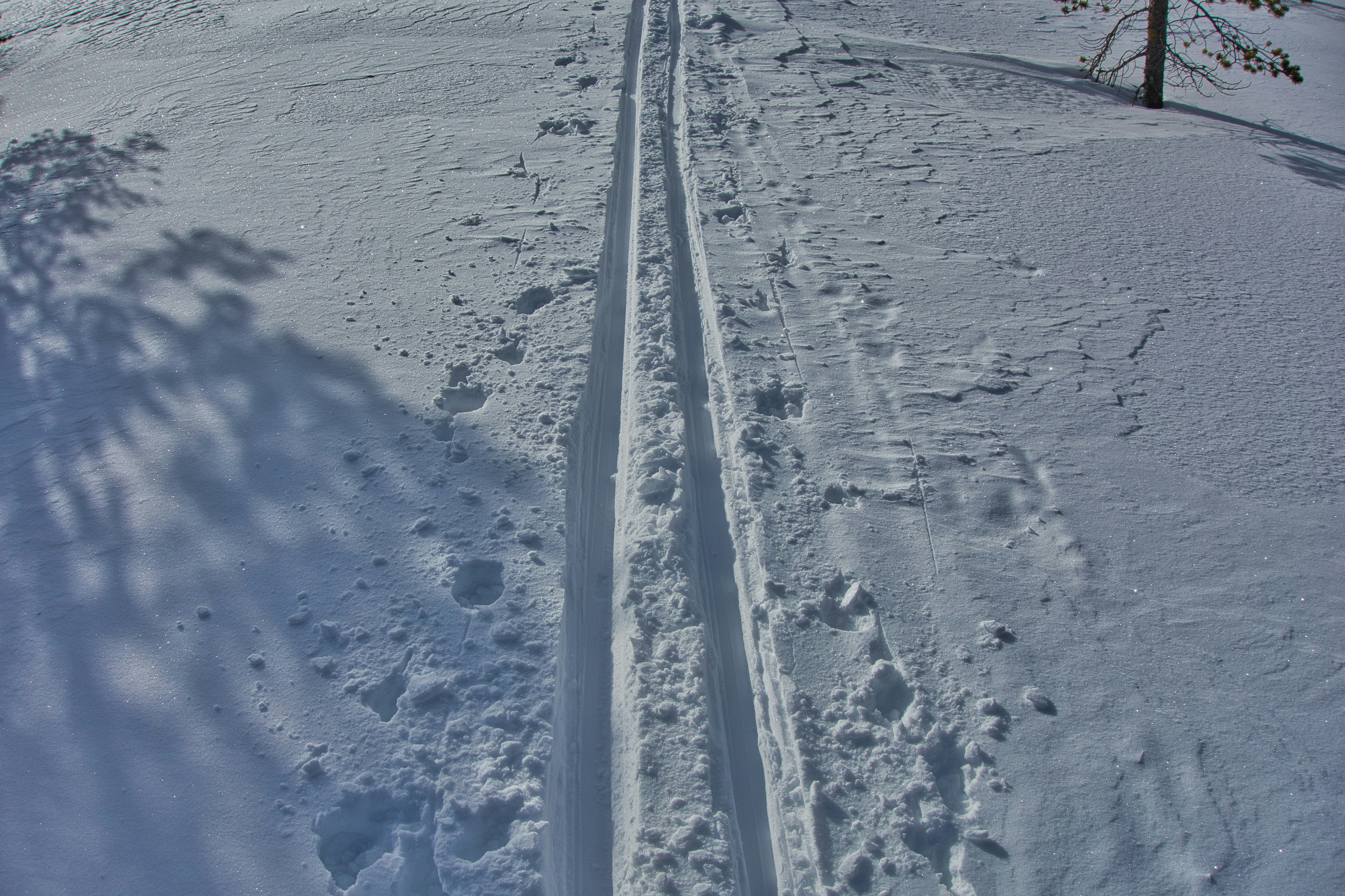 uma pessoa montando uma prancha de snowboard por uma encosta coberta de neve