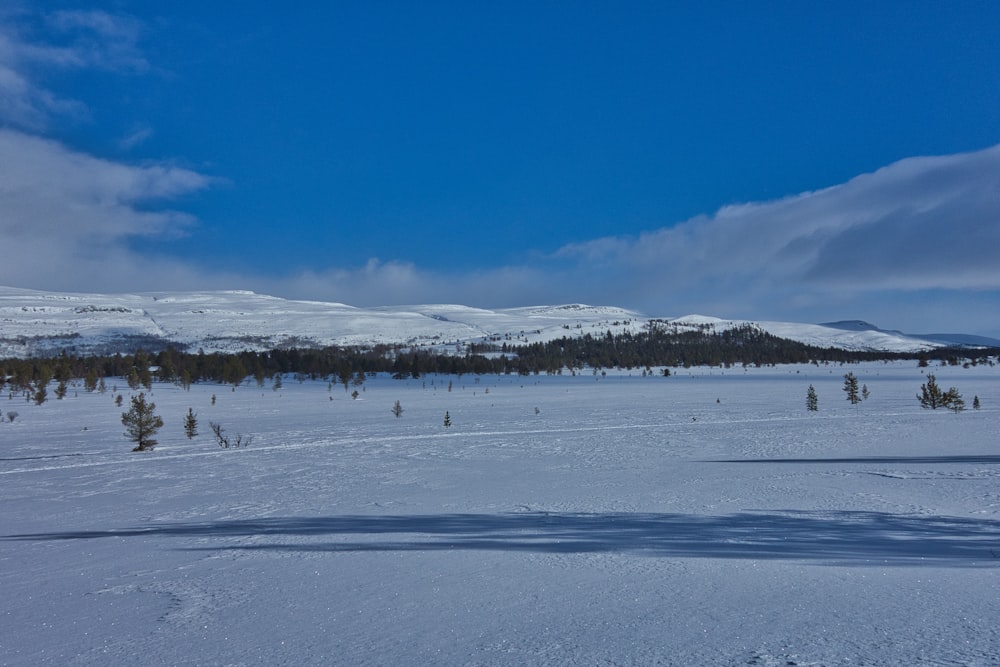 a snow covered field with trees and mountains in the background