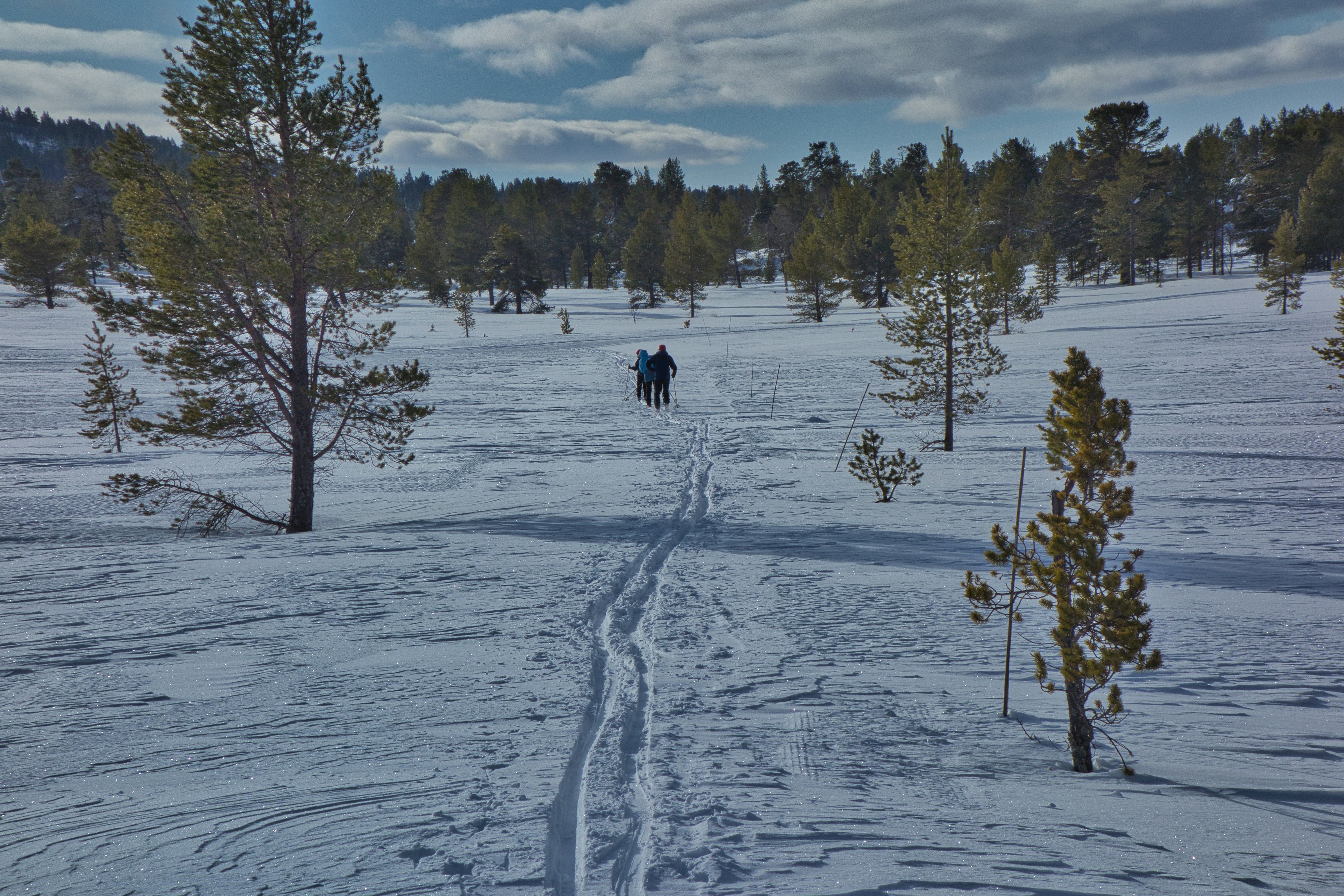 Puchar Świata w narciarstwie alpejskim