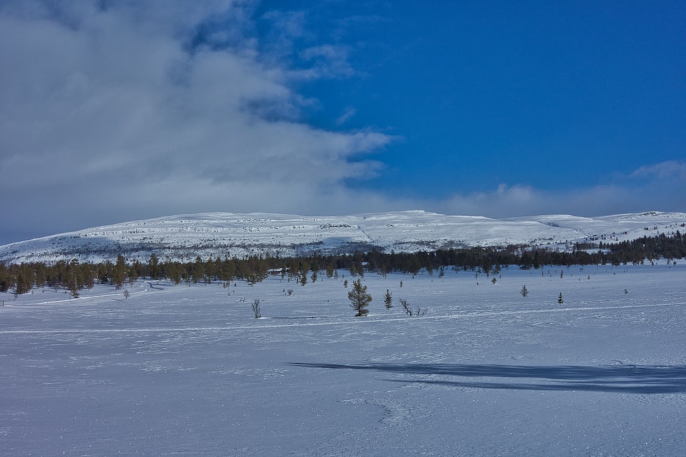 a snow covered field with a mountain in the background