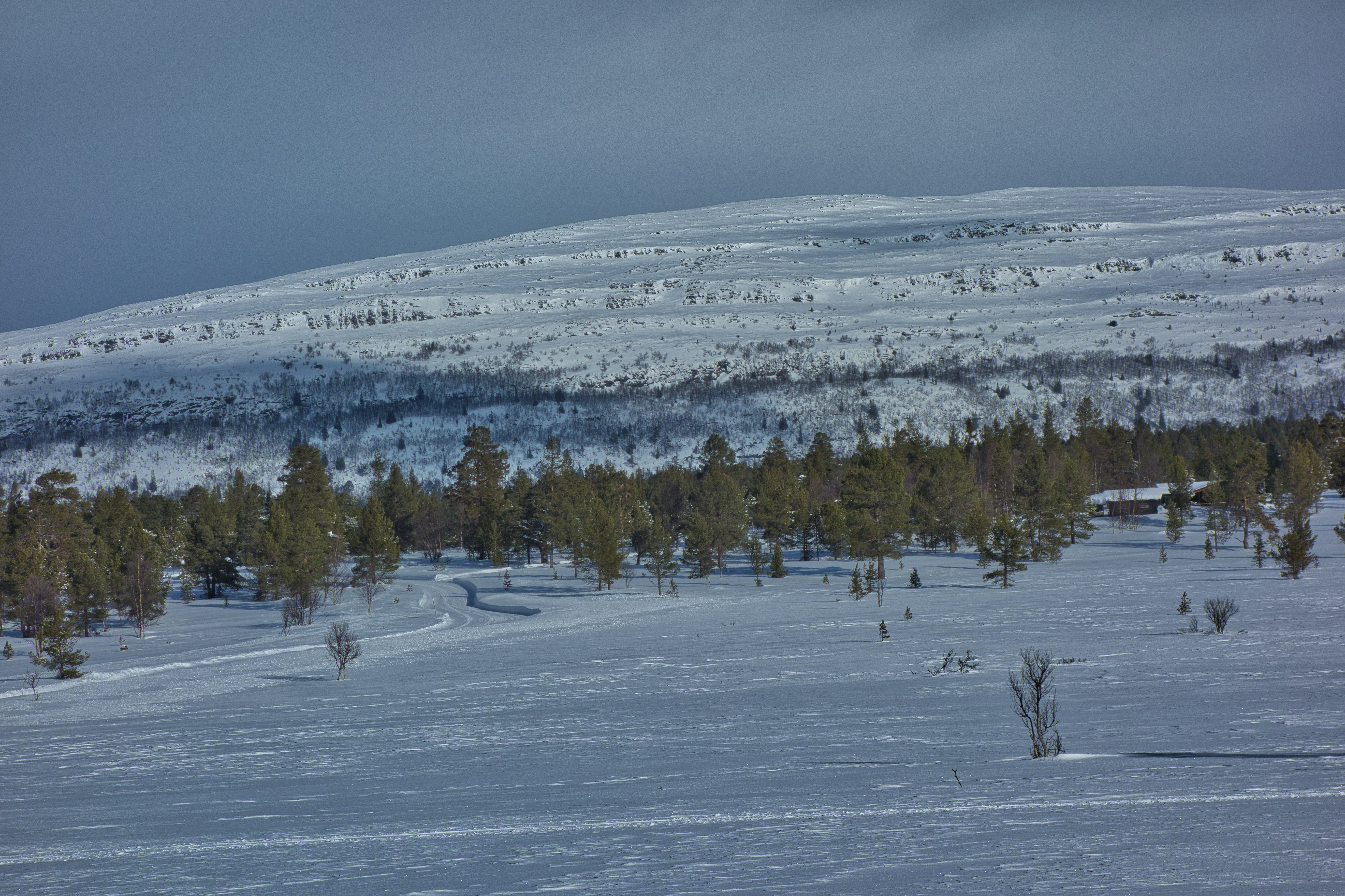 Photo by gunnarridder