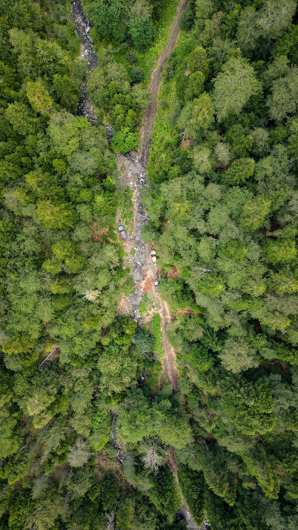 an aerial view of a lush green forest