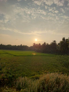 Sunset view over the green fields surrounding Pacora
