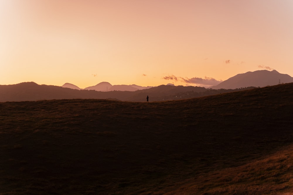 a person standing on top of a grass covered hill