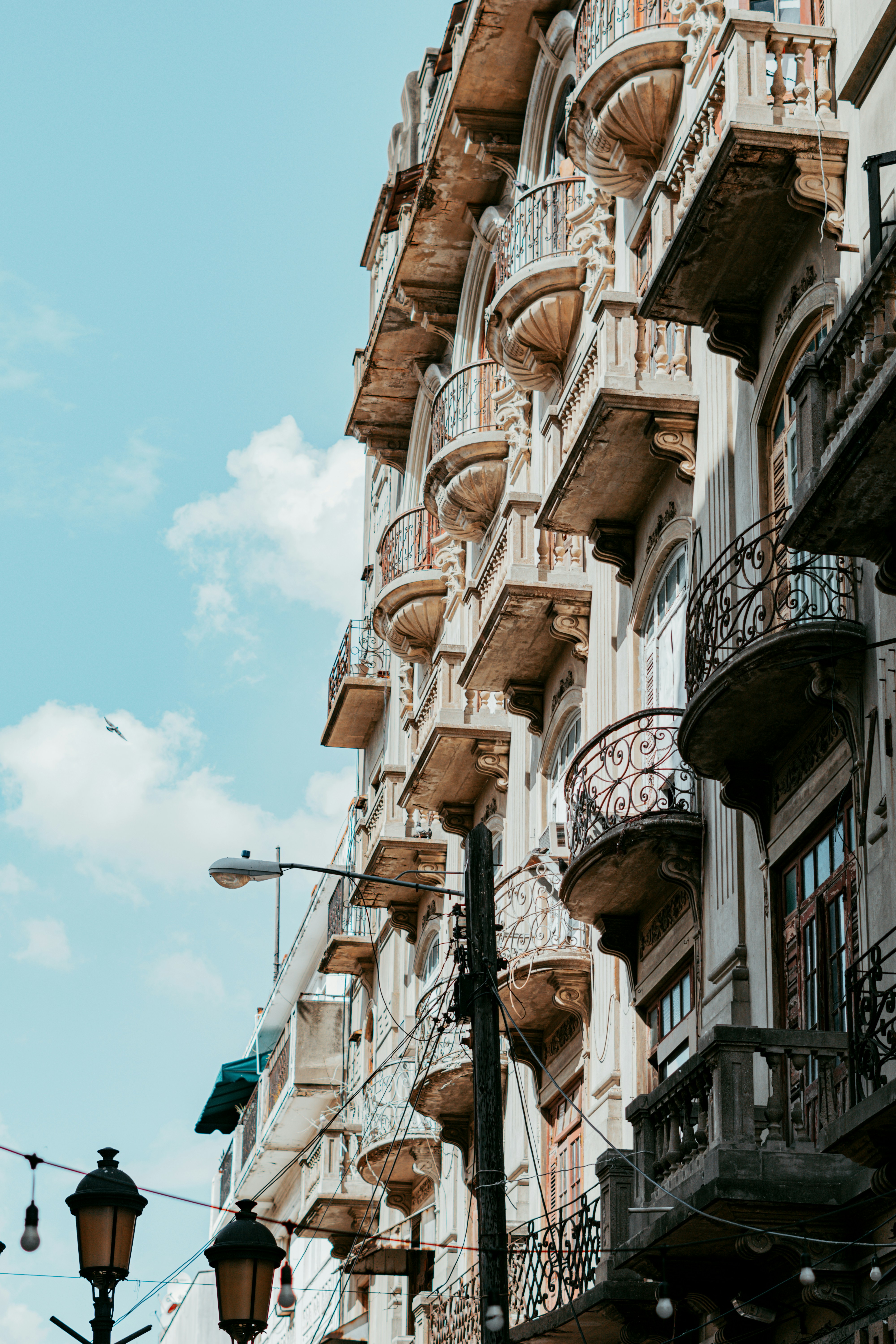 Photo by leonifel_13