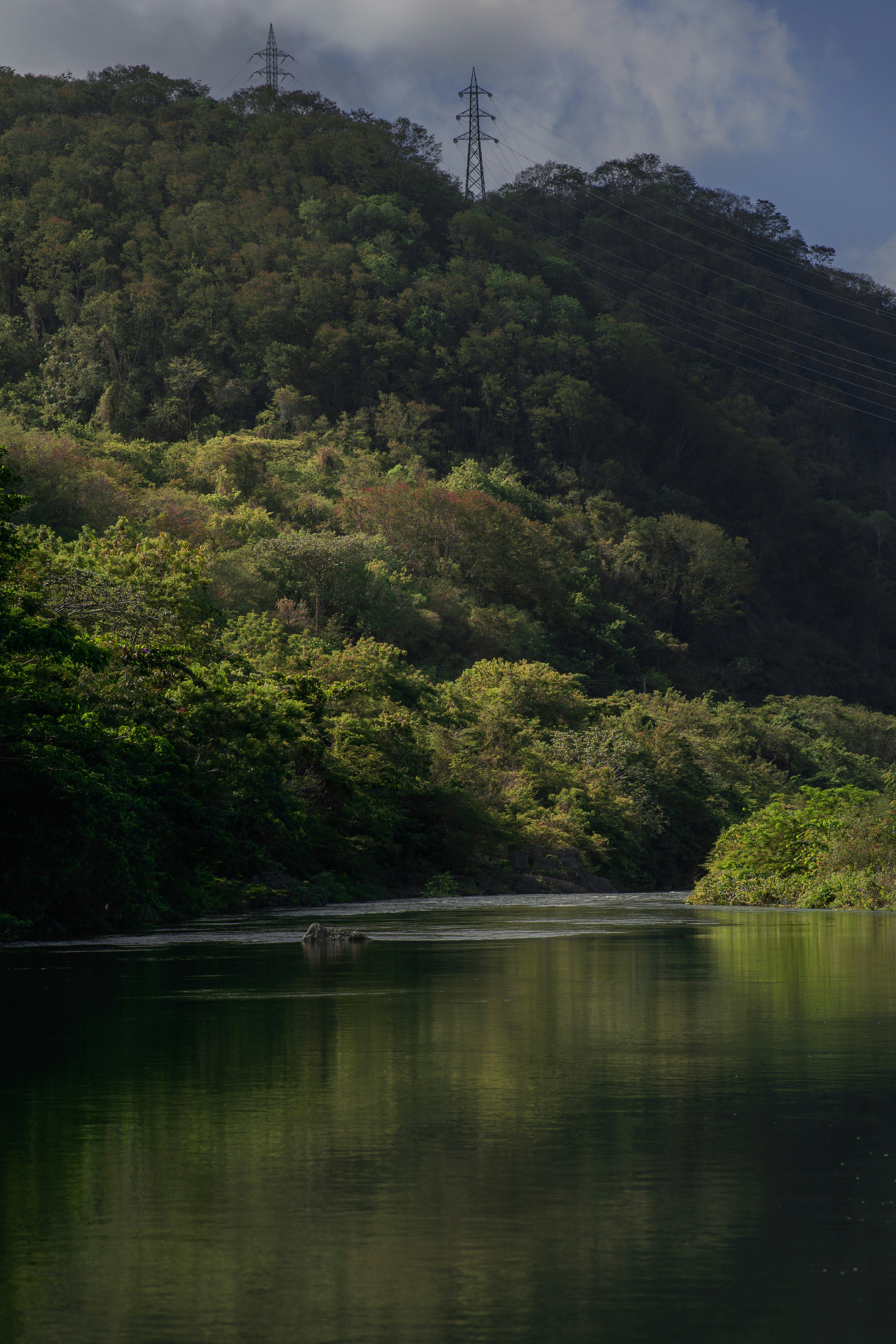 Photo by leonifel_13