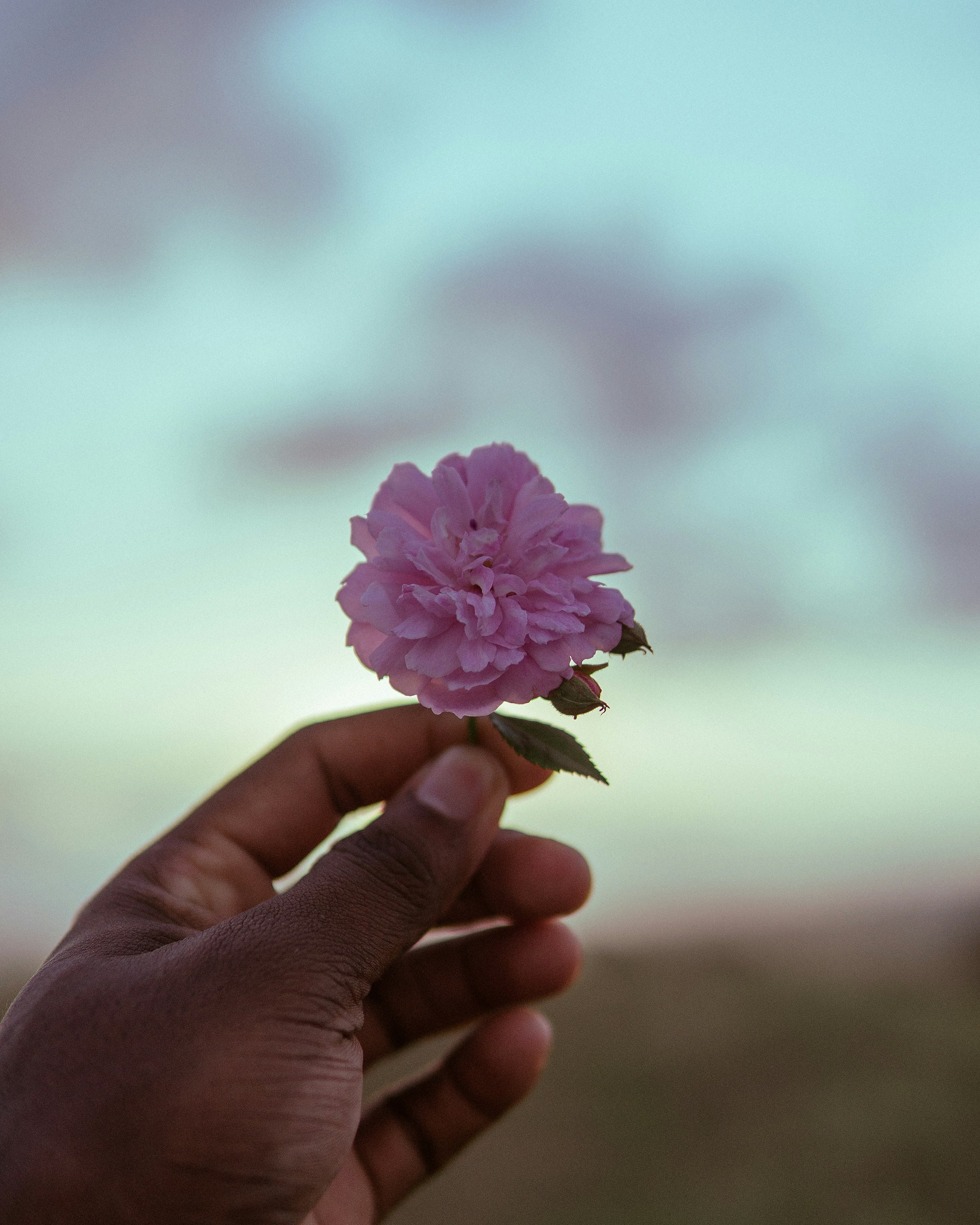 Photo by leonifel_13