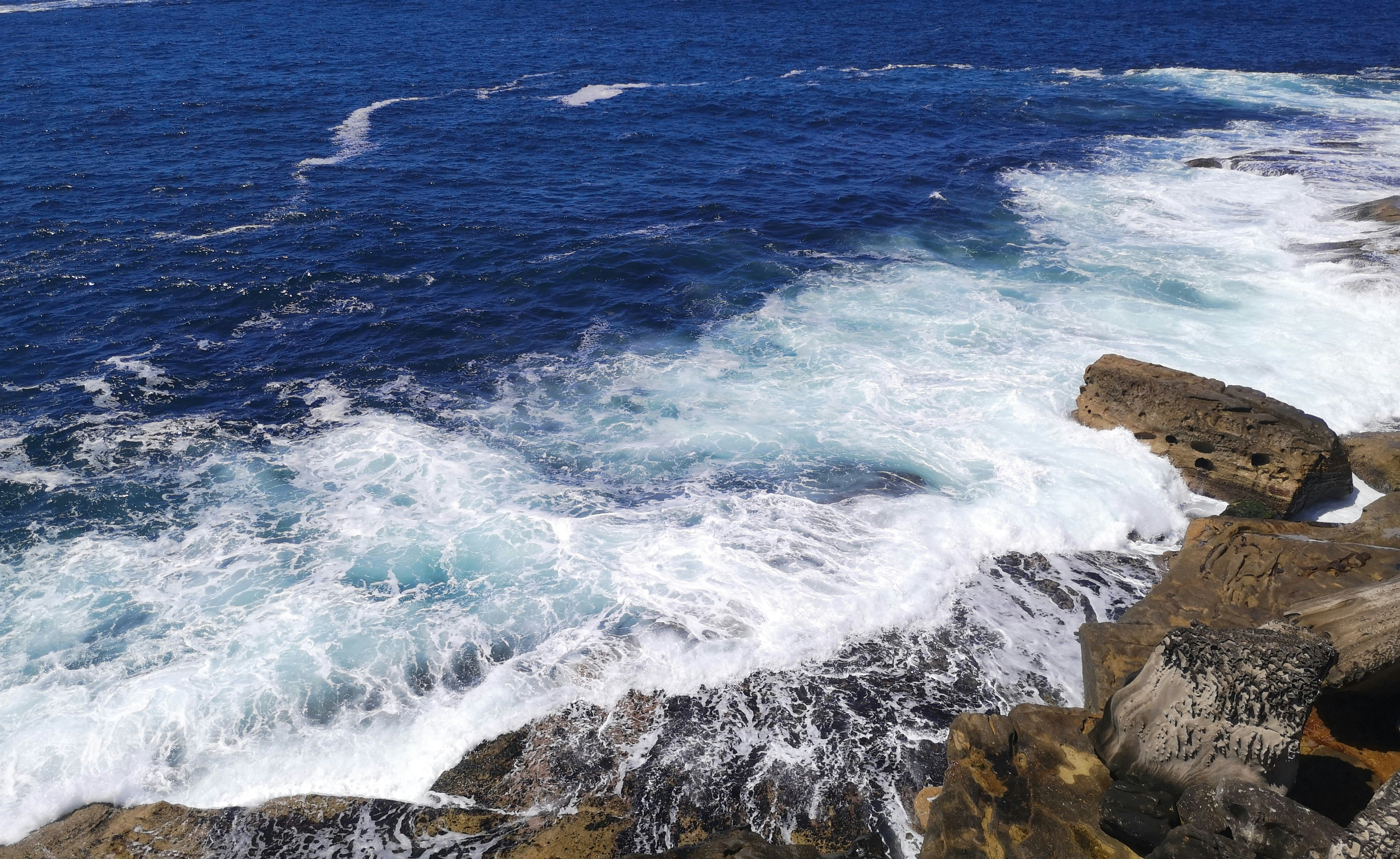 Photo by sunshine2023