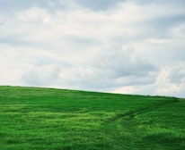 A peaceful landscape with an open field under a clear blue sky, evoking freedom and simplicity.