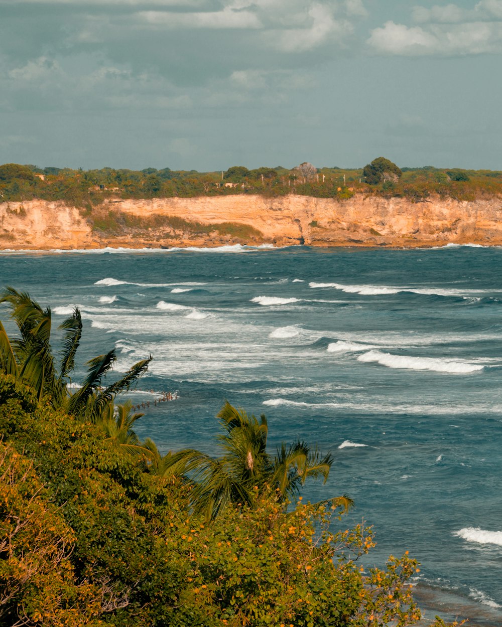 a body of water surrounded by trees and a cliff