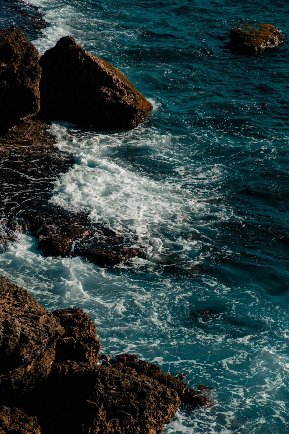 a bird sitting on top of a rock next to the ocean