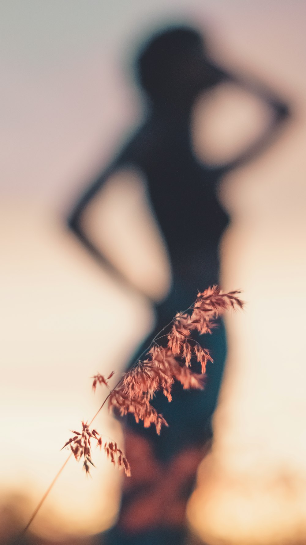 a silhouette of a woman with a plant in front of her