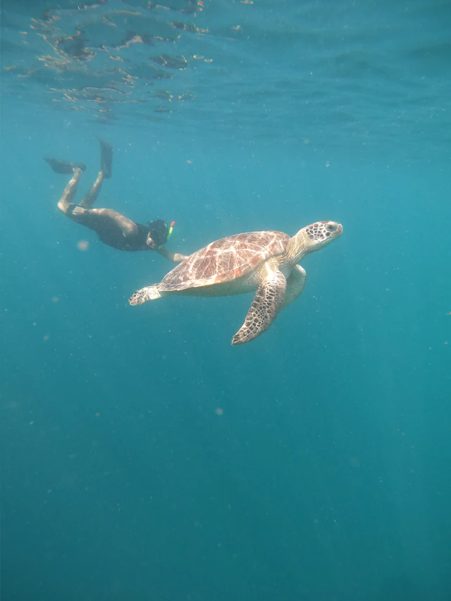 Lombok Island 4D3N