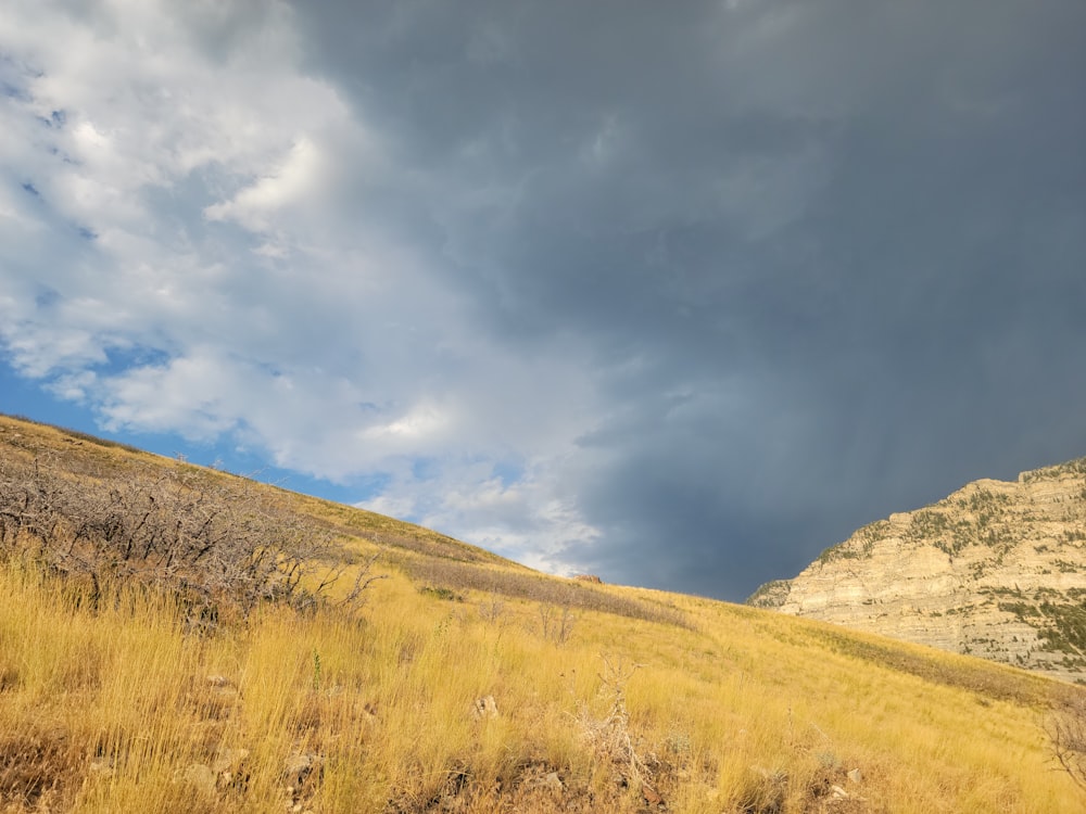 a field with a mountain in the background under a cloudy sky