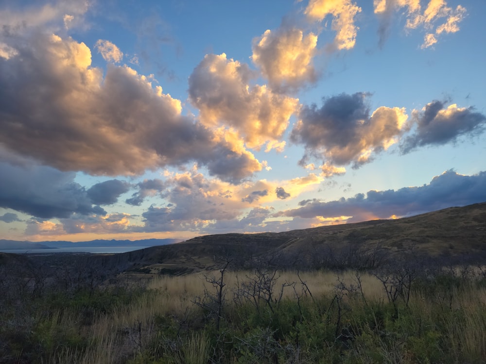 a field with a sky filled with clouds