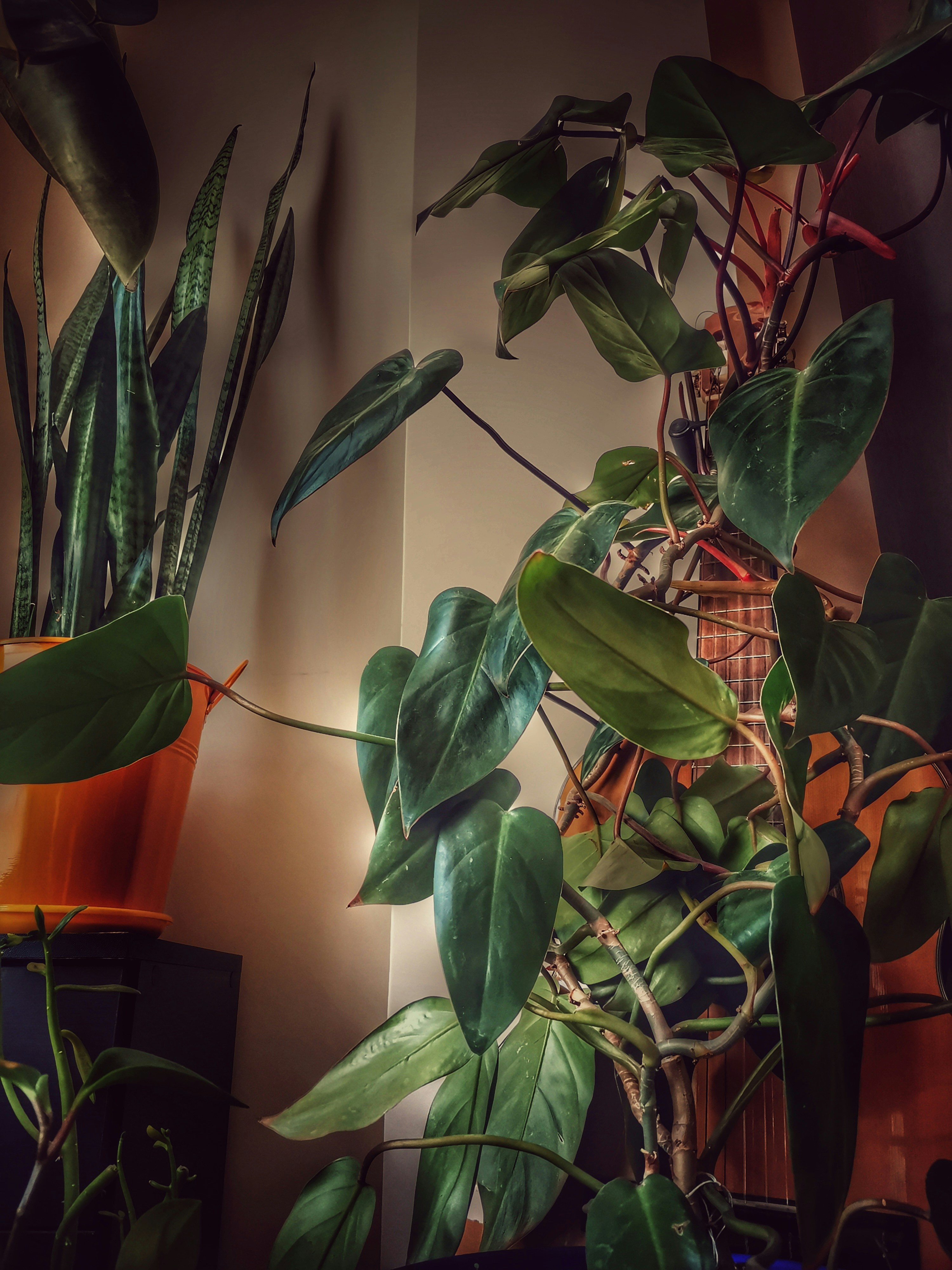 Photo by mobina_mirzaei