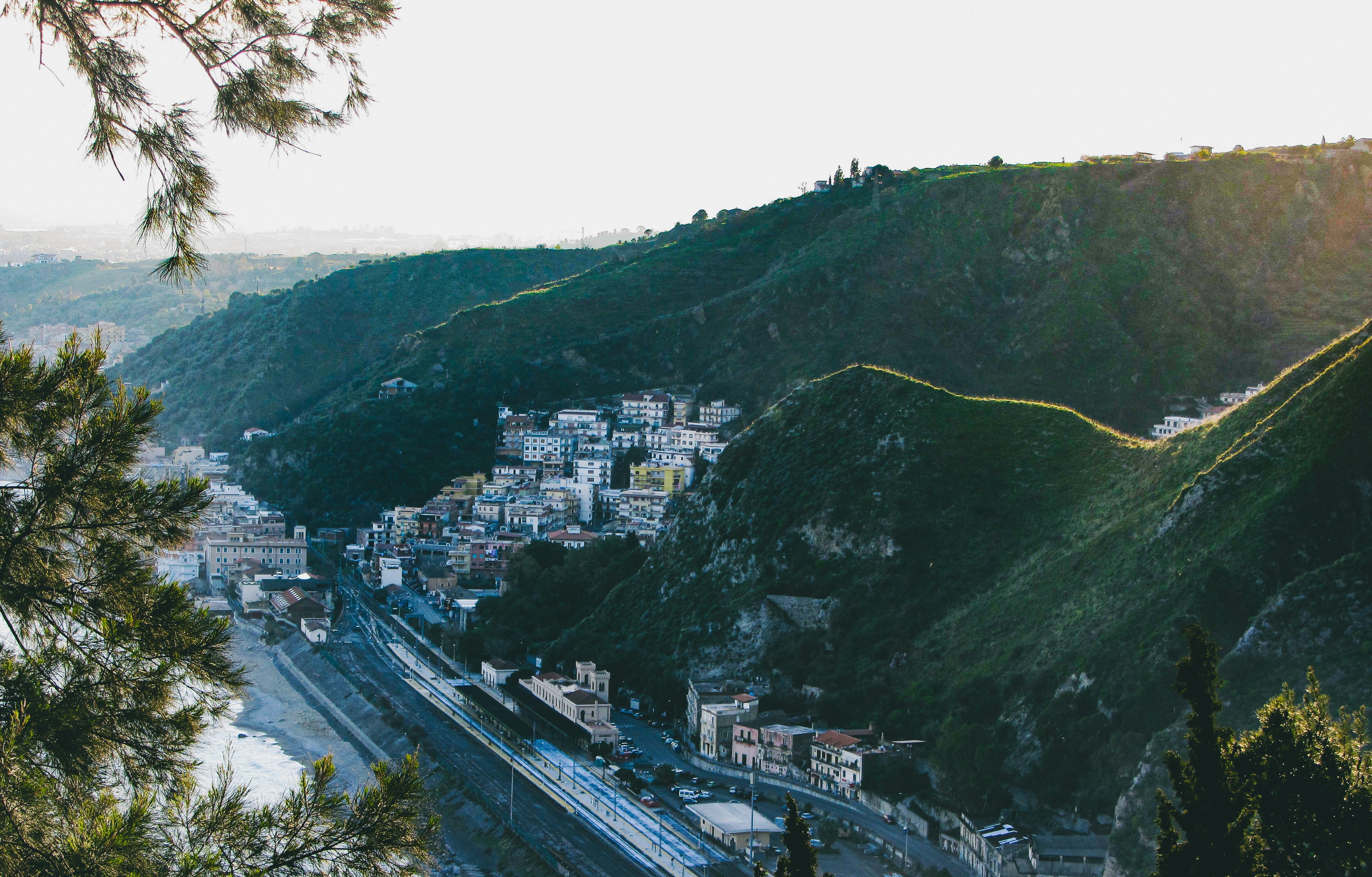 Photo by clovegrove7