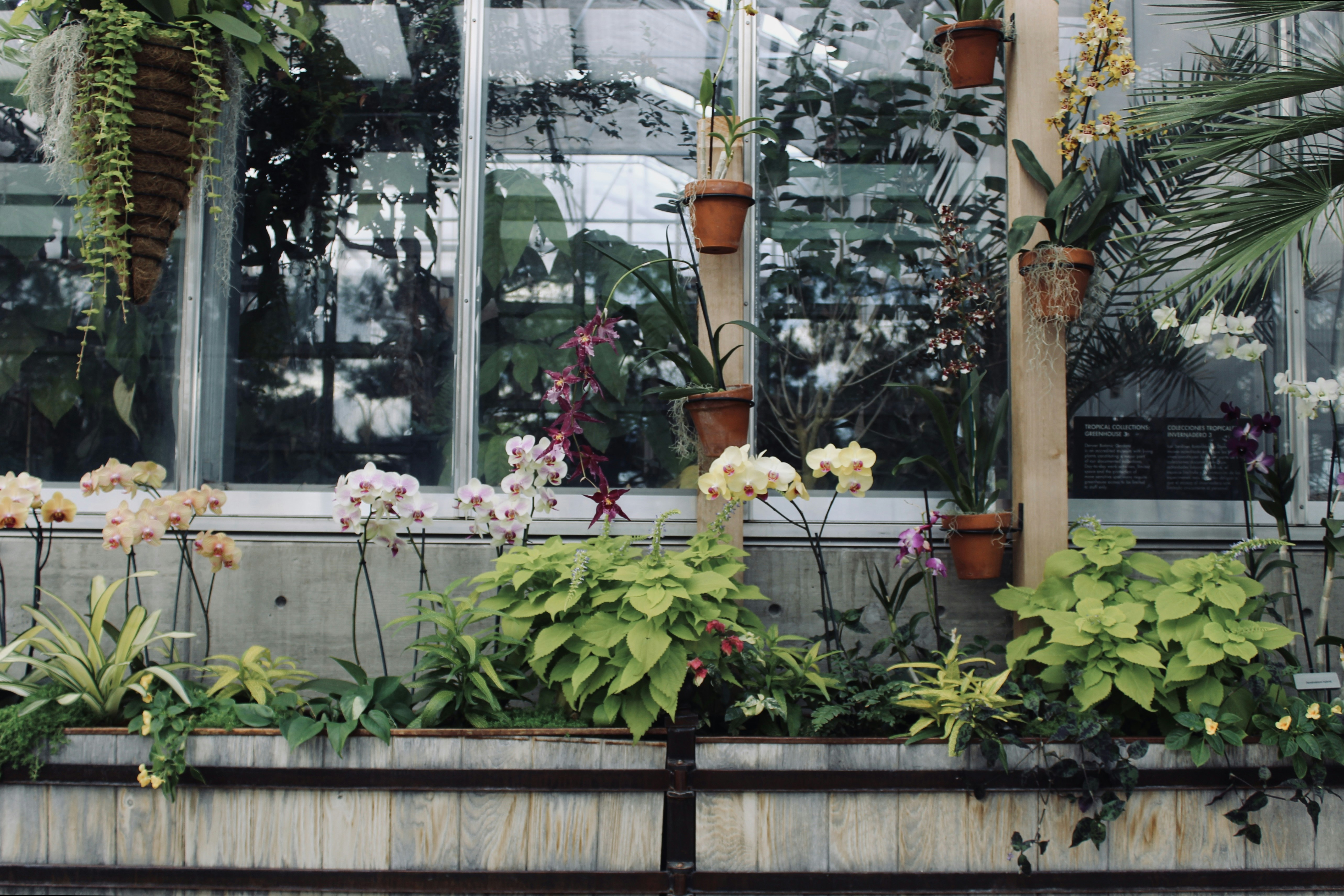 Photo by aspen_dianne