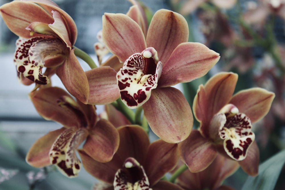 a bunch of flowers that are in a vase