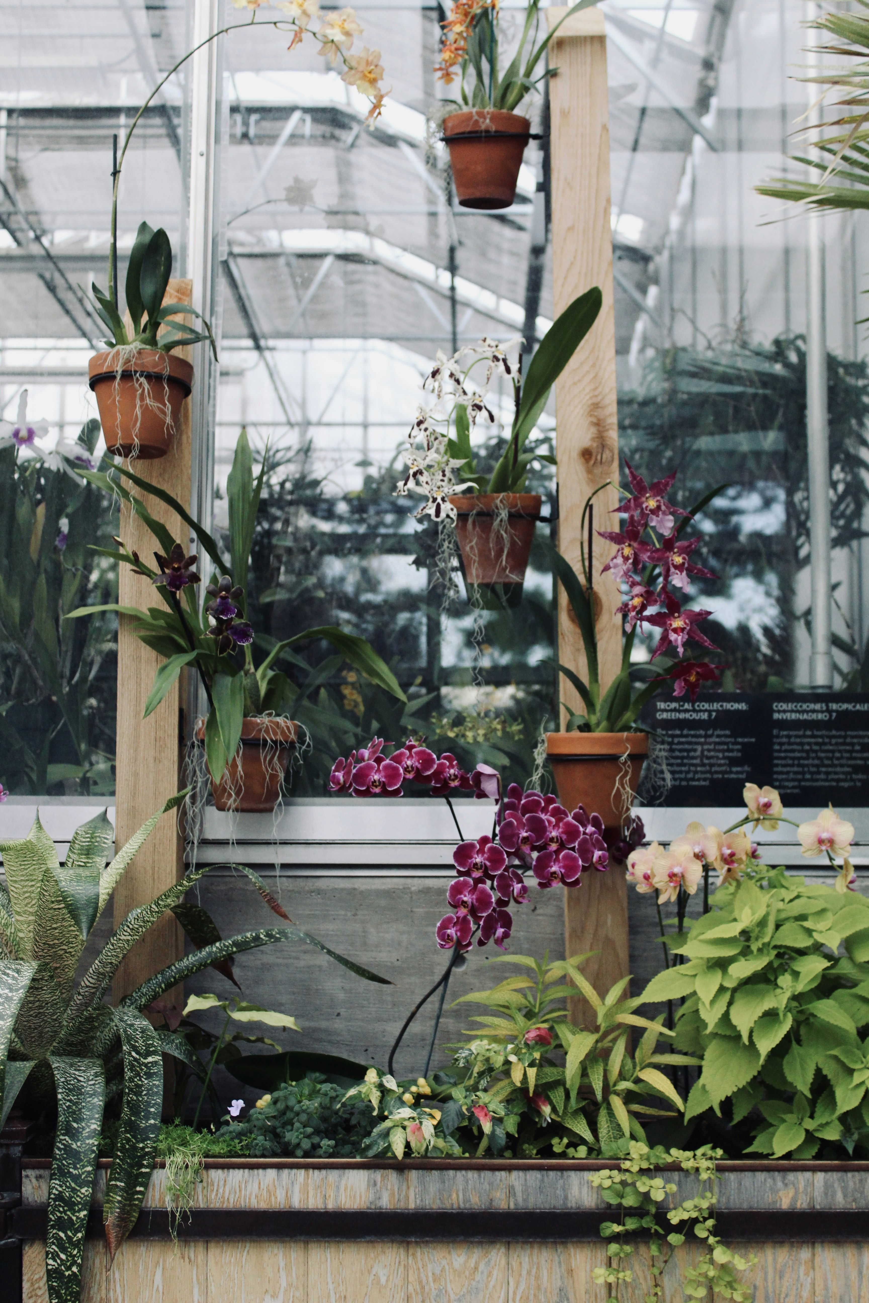 Photo by aspen_dianne