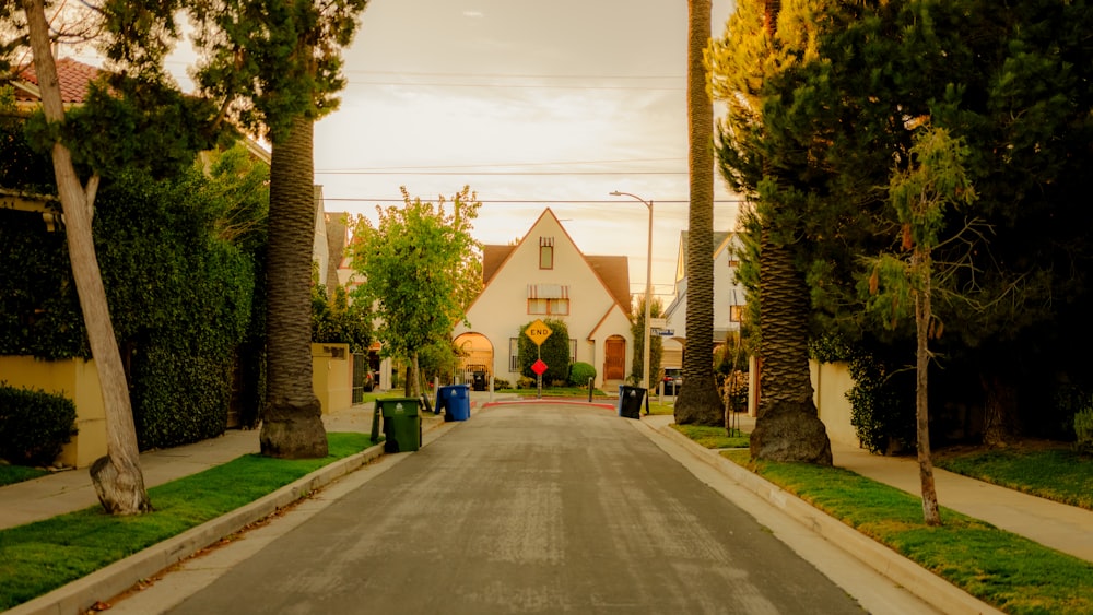 Una calle bordeada de palmeras y casas