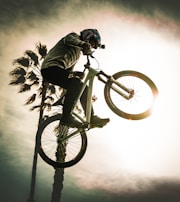 A person wearing a helmet is performing a mid-air stunt on a bicycle, silhouetted against a bright sun. The background features tall palm trees under a cloudy sky.