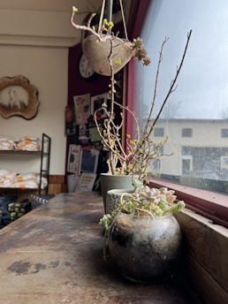 A cozy indoor garden filled with various potted plants and herbs on a wooden shelf.