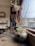 A cozy interior with several potted plants placed on a wooden shelf by a large window. The plants include succulents and a vine, adding a touch of greenery to the room. In the background, a clock and a variety of wall decorations create a homey atmosphere.