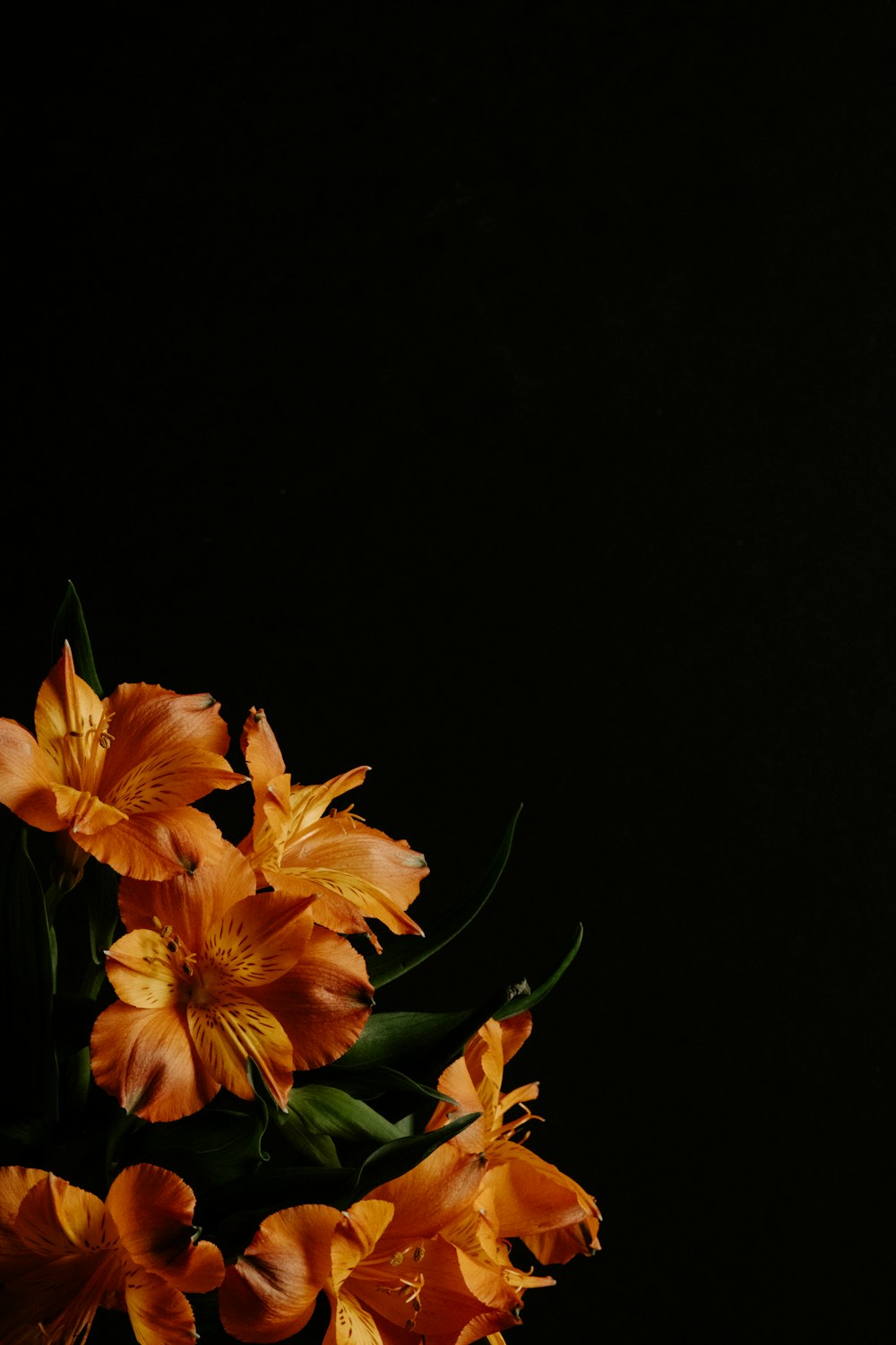 a vase filled with orange flowers on top of a table