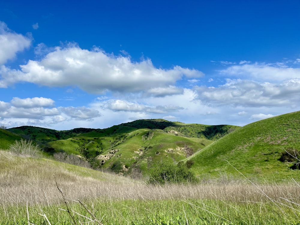 ein üppiger grüner Hügel, der mit Gras unter blauem Himmel bedeckt ist